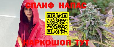 стаф Коммунар