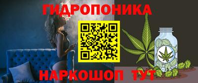 стаф Коммунар
