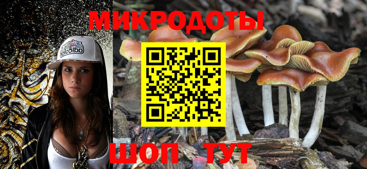 Галлюциногенные грибы мицелий Костомукша