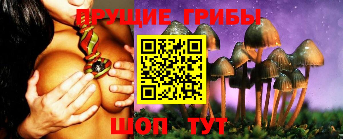 Костомукша  Псилоцибиновые грибы мухоморы  Вход с VPN 